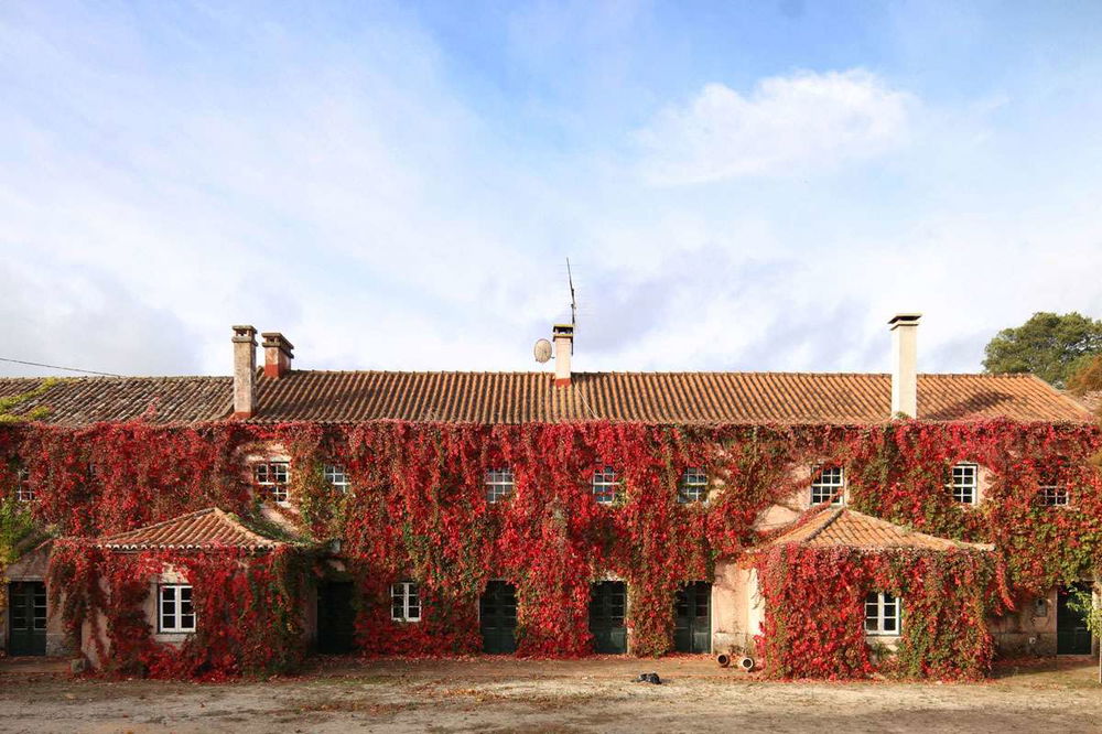 16th-century farm with planning permission in Torres Vedras 1520604283