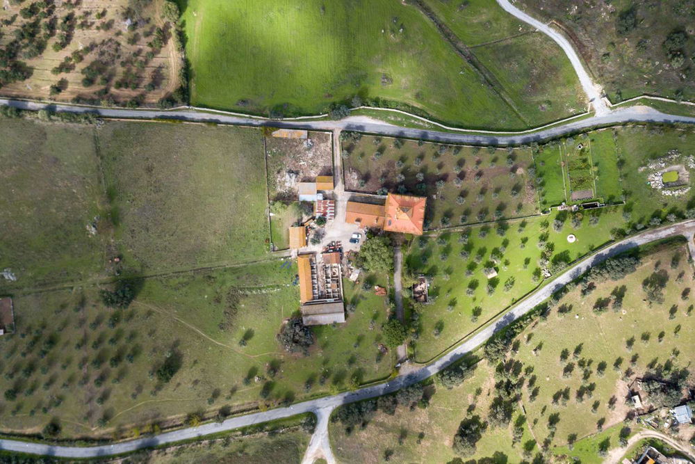 5.6 ha farm near the gates of Évora 2359708780