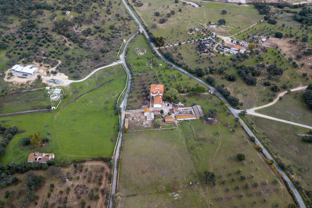 5.6 ha farm near the gates of Évora 2359708780