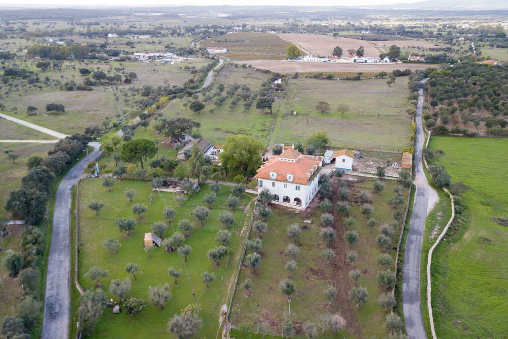 5.6 ha farm near the gates of Évora 2359708780