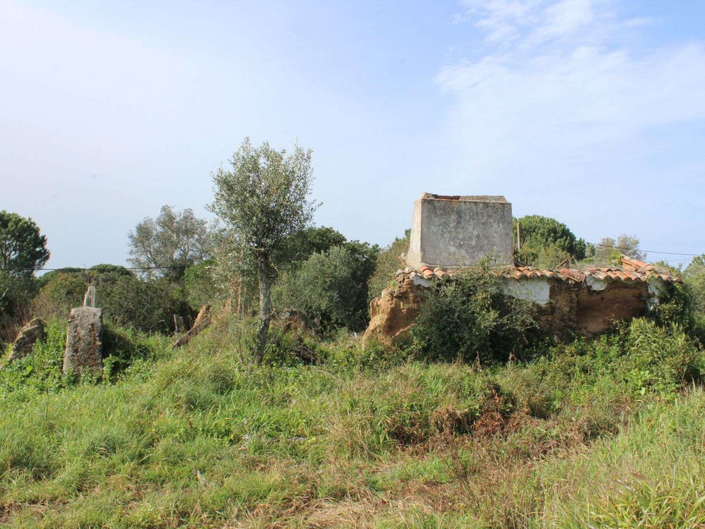 3.9-hectare plot of land with planning permission in Melides 2430491359