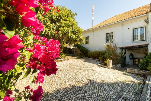 3-bedroom apartment for sale with garden in the historic center of Cascais 245048593