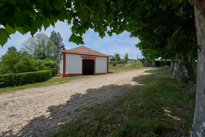 Estate with manor house in 13 ha of land, Águeda 2735584554