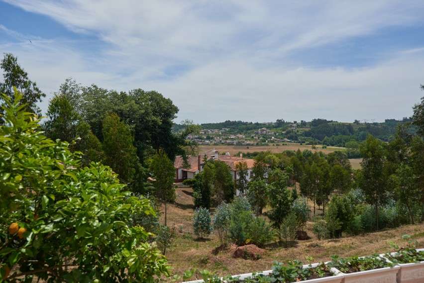 Estate with manor house in 13 ha of land, Águeda 2735584554