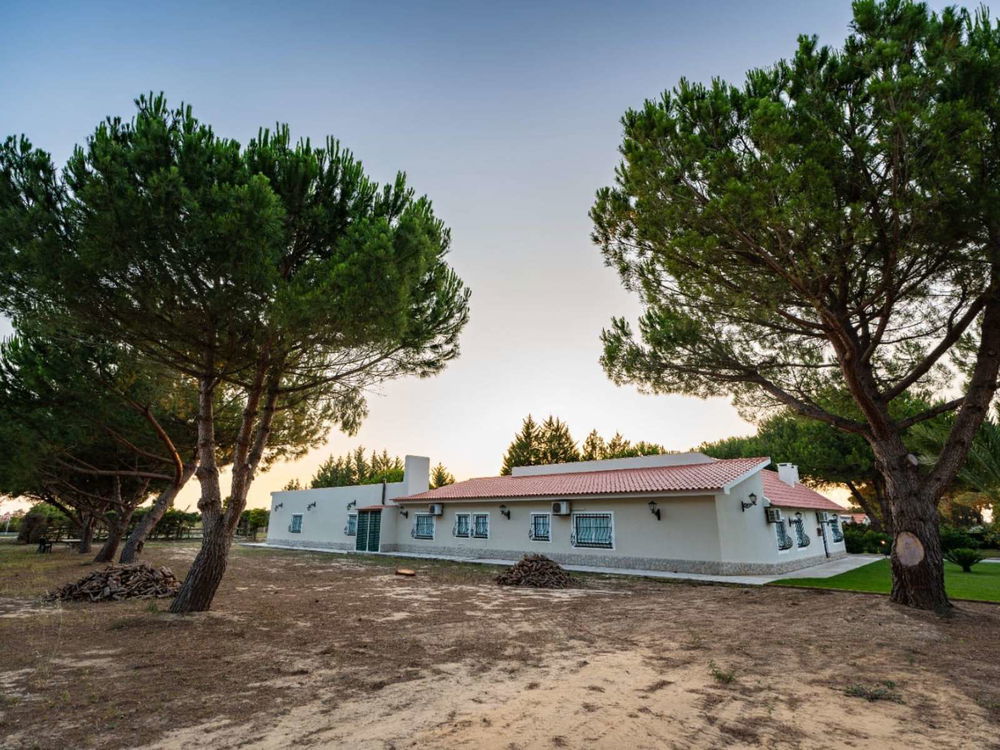 4-bedroom farm with stables, riding arena and swimming pool in Palmela 2886202779