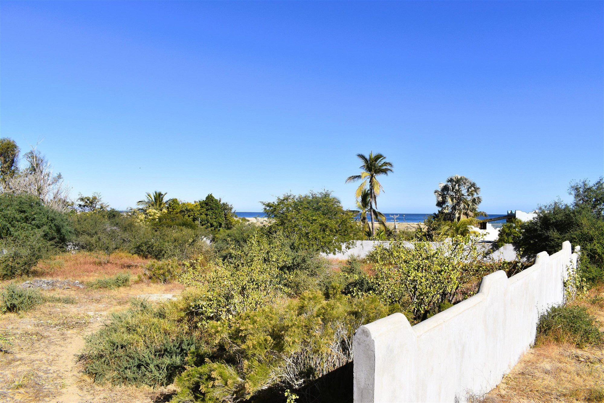 Land For Sale in Cabo San Lucas 994331000