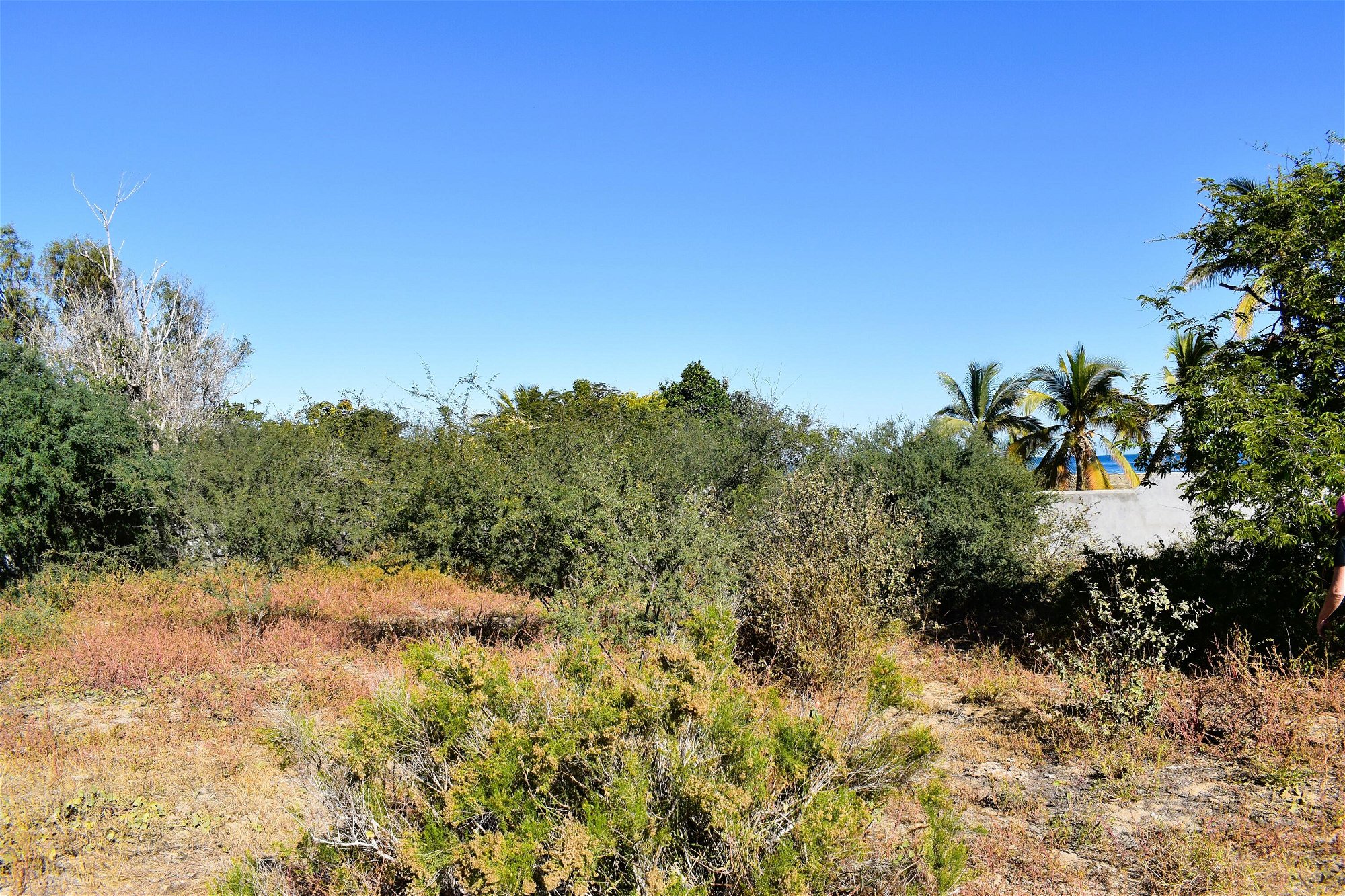 Land For Sale in Cabo San Lucas 994331000