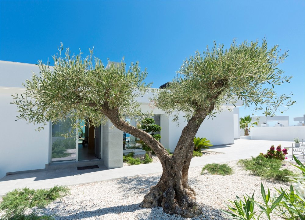 ​Luxury villa with sea views for sale in Cumbre del Sol 279191147
