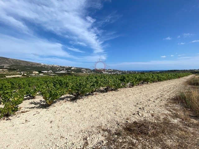 Rustic plot of 10,000 m2 for sale with sea views. 376233347