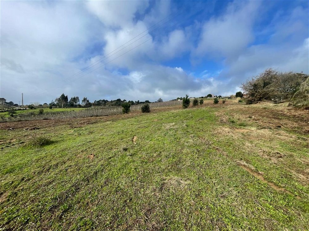 Land with project for 2 houses and stunning views of the countryside 3670205300