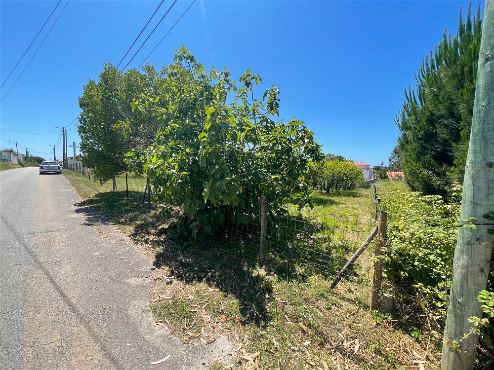 Land for construction in Nadadouro 3106650863