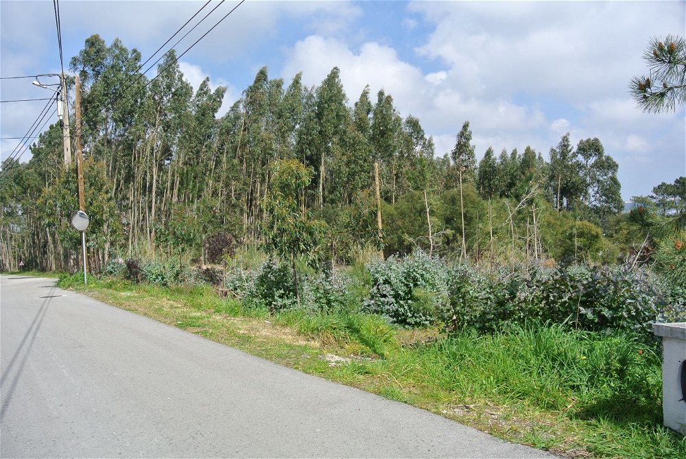 Land for construction in Nadadouro. 2685413806