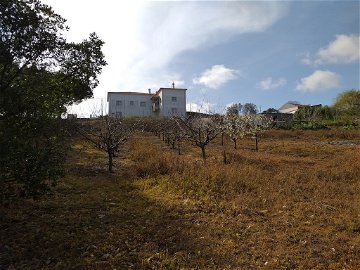 Dream farm near Óbidos 1057679681