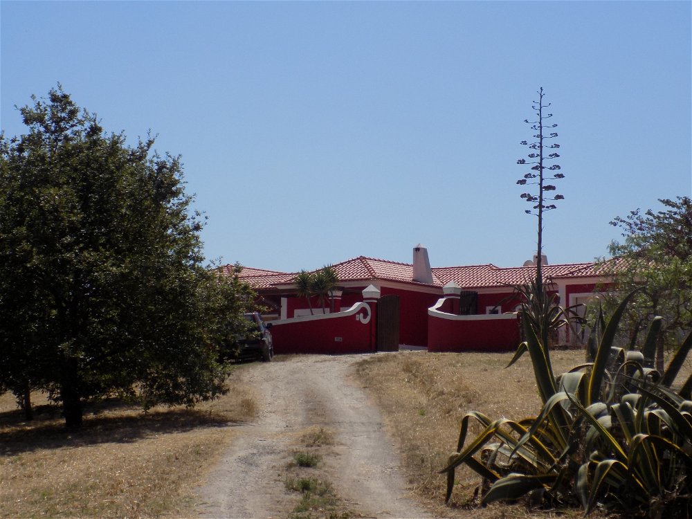 Beautiful farmhouse in the heart of the West near Bombarral 3829239555