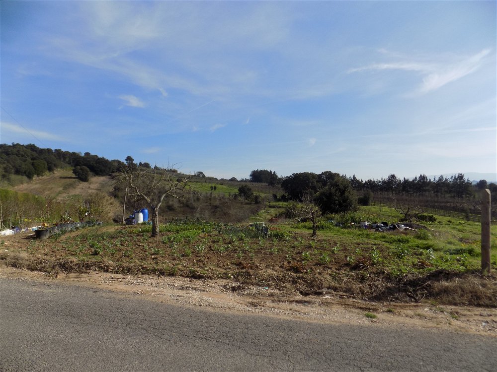Excellent land for construction near Bombarral 2611747533