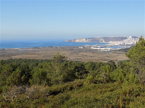 Sea views land Nazare with viability for hotel, tourist project or several villas 1696033905