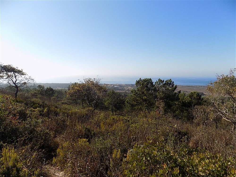 Sea views land Nazare with viability for hotel, tourist project or several villas 1696033905